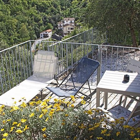 La Terrazza Con L'Ulivo - Guesthouse Con Terrazza E Vista Sul Golfo Dei Poeti لا سبيتسْيا المظهر الخارجي الصورة