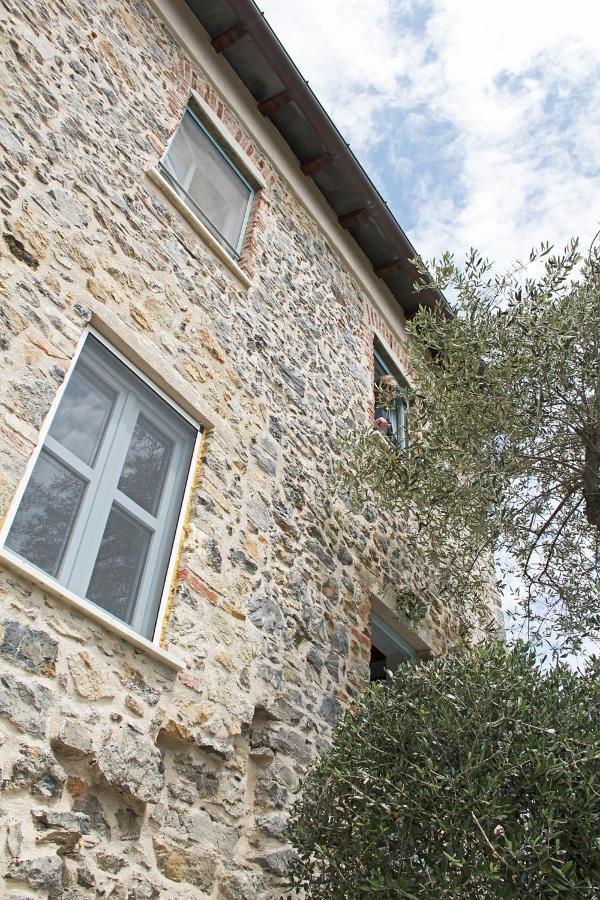 La Terrazza Con L'Ulivo - Guesthouse Con Terrazza E Vista Sul Golfo Dei Poeti لا سبيتسْيا المظهر الخارجي الصورة